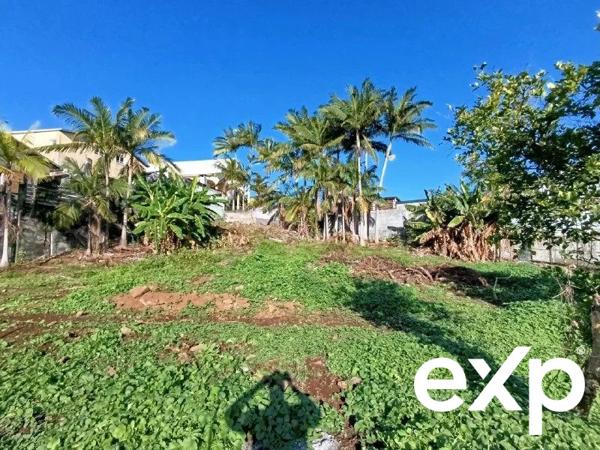 Terrain à vendre – Le Tampon (entre Douzième et Trois Mares)