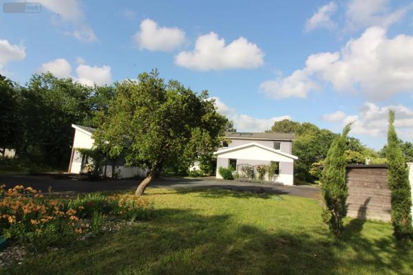 Achat - Maison | Villa Blanquefort 33290 8 pièces 225 m 2 2655 m 2