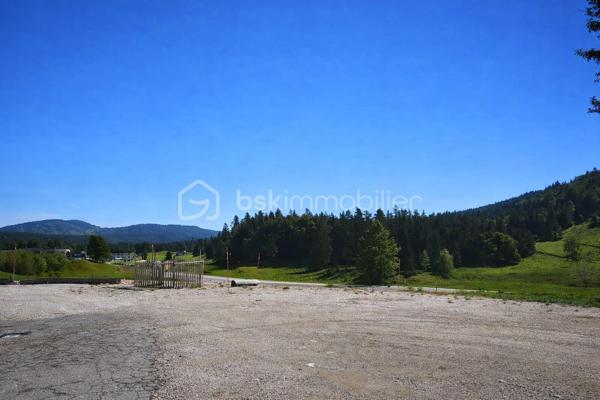 À vendre : Ferme d’exception de 303 m² au cœur du massif du Jura — potentiel rare !

Située au pied des pistes du Haut‑Jura, à deux pas de la frontière suisse et à seulement 1 h de l’aéroport de Genève, cette superbe ferme de 303 m² offre un cadre naturel spectaculaire et un potentiel immense pour un projet touristique ou résidentiel.

 Un environnement privilégié
Terrain de 5 775 m² avec grand parking pour accueillir de nombreux véhicules

Un espace modulable selon vos projets

 Un bien partiellement rénové au potentiel exceptionnel
Cette ferme peut facilement être transformée en :

Restaurant

Gîte ou chambres d’hôtes

Habitation privée de caractère

Projet touristique haut de gamme
Vue panoramique a couper le souffle imprenable sur les montagnes

Accès immédiat aux activités de pleine nature : ski, randonnée, VTT, raquettes

 Rez-de-chaussée : un espace professionnel déjà opérationnel
Grande pièce bar ouverte sur une cuisine professionnelle équipée

Deux salles de restauration chaleureuses, idéales pour de nombreux couverts

Deux réserves (dont une attenante à la cuisine)

Deux sanitaires

Cave, remise, grange, couloir

 Premier étage : un appartement à rénover
Trois chambres

Un salon

Un espace modulable selon vos projets

 Un bien partiellement rénové au potentiel exceptionnel
Cette ferme peut facilement être transformée en :

Restaurant

Gîte ou chambres d’hôtes

Habitation privée de caractère

Projet touristique haut de gamme

Son emplacement stratégique et son charme authentique en font une opportunité rare dans une région très recherchée pour son attractivité naturelle et sportive.