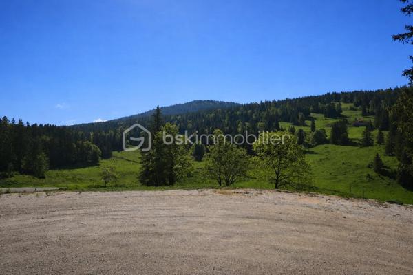 À vendre : Ferme d’exception de 303 m² au cœur du massif du Jura — potentiel rare !

Située au pied des pistes du Haut‑Jura, à deux pas de la frontière suisse et à seulement 1 h de l’aéroport de Genève, cette superbe ferme de 303 m² offre un cadre naturel spectaculaire et un potentiel immense pour un projet touristique ou résidentiel.

 Un environnement privilégié
Terrain de 5 775 m² avec grand parking pour accueillir de nombreux véhicules

Un espace modulable selon vos projets

 Un bien partiellement rénové au potentiel exceptionnel
Cette ferme peut facilement être transformée en :

Restaurant

Gîte ou chambres d’hôtes

Habitation privée de caractère

Projet touristique haut de gamme
Vue panoramique a couper le souffle imprenable sur les montagnes

Accès immédiat aux activités de pleine nature : ski, randonnée, VTT, raquettes

 Rez-de-chaussée : un espace professionnel déjà opérationnel
Grande pièce bar ouverte sur une cuisine professionnelle équipée

Deux salles de restauration chaleureuses, idéales pour de nombreux couverts

Deux réserves (dont une attenante à la cuisine)

Deux sanitaires

Cave, remise, grange, couloir

 Premier étage : un appartement à rénover
Trois chambres

Un salon

Un espace modulable selon vos projets

 Un bien partiellement rénové au potentiel exceptionnel
Cette ferme peut facilement être transformée en :

Restaurant

Gîte ou chambres d’hôtes

Habitation privée de caractère

Projet touristique haut de gamme

Son emplacement stratégique et son charme authentique en font une opportunité rare dans une région très recherchée pour son attractivité naturelle et sportive.
