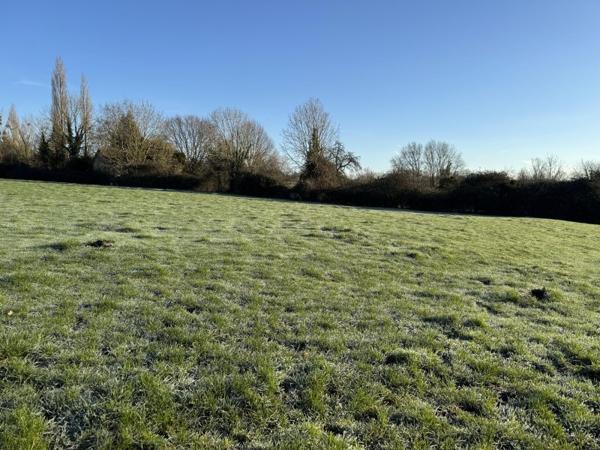 Vente / Terrain constructible