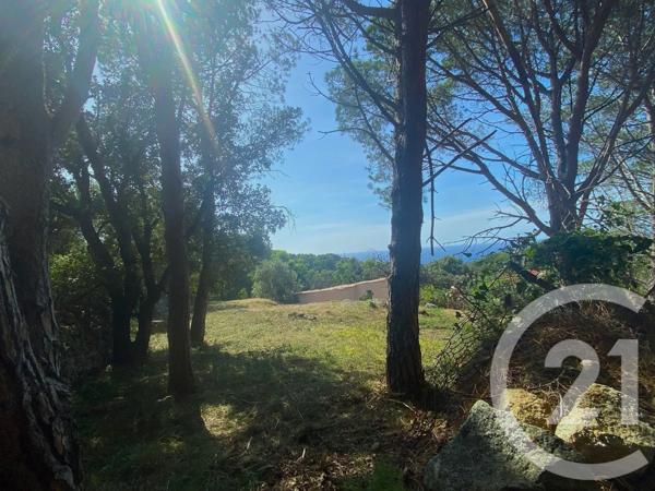 Terrain à vendre  1978 m 2   CORBARA  - 202