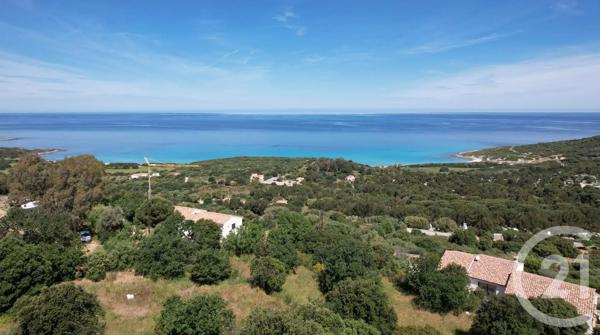 Terrain à vendre  1978 m 2   CORBARA  - 202
