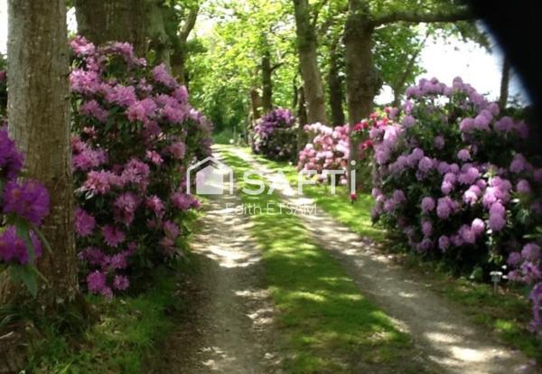 Maison 13 pièces 4 hectares