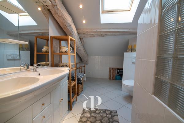 Cazes-Mondenard (82110) Charmante Maison de Maître avec 14 hectares