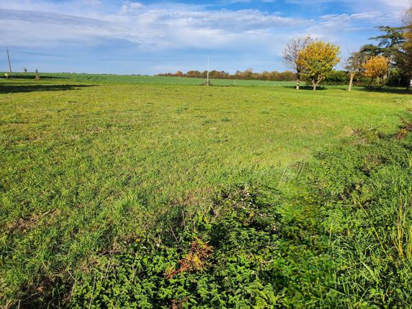 Magnils-Reigniers (85400) Terrain 500m2, possibilité d'acheter l'ensemble du terrain 2000m2 en tout