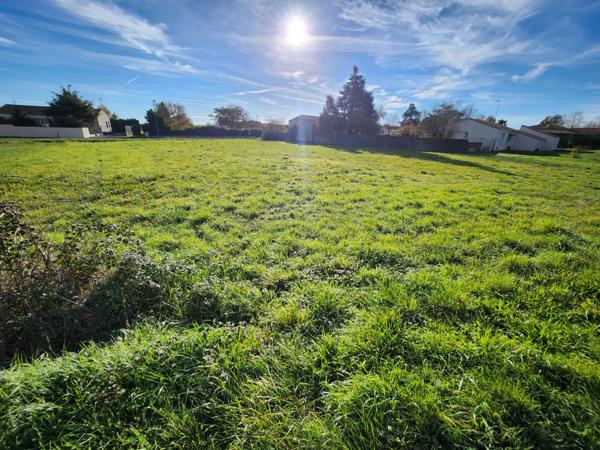 Magnils-Reigniers (85400) Terrain 500m2, possibilité d'acheter l'ensemble du terrain 2000m2 en tout