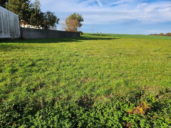 Magnils-Reigniers (85400) Terrain 500m2, possibilité d'acheter l'ensemble du terrain 2000m2 en tout