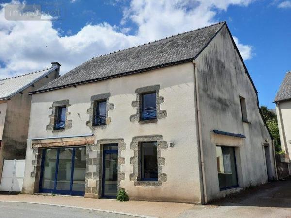 Immeuble à vendre à Guilliers dans le Morbihan (56490), ref : VI073-56044