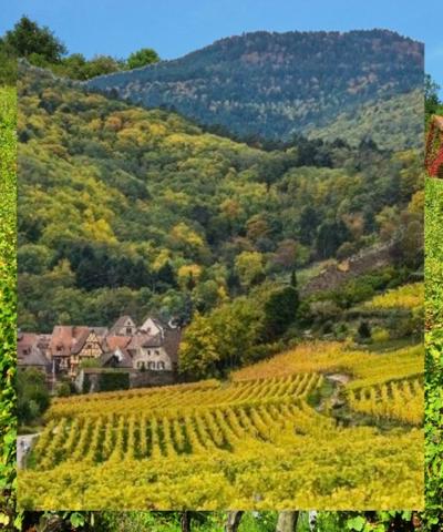 MAISON à vendre 5 pièces axe COLMAR & TURCKHEIM (68) sur 810 m2 de TERRAIN