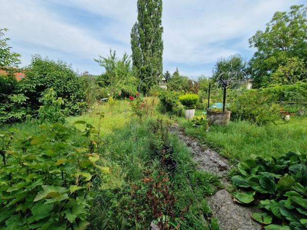 MAISON à vendre 5 pièces axe COLMAR & TURCKHEIM (68) sur 810 m2 de TERRAIN