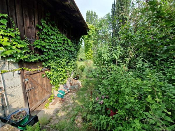 MAISON à vendre 5 pièces axe COLMAR & TURCKHEIM (68) sur 810 m2 de TERRAIN