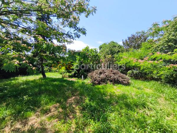 Vente
                Maison174,32 m² - 7 Pièces -
                    MONT DE MARSAN (40000)