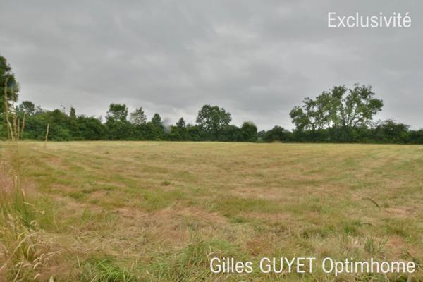Terrain plat constructible de 5400M² 20MN de BERNAY, 35000€