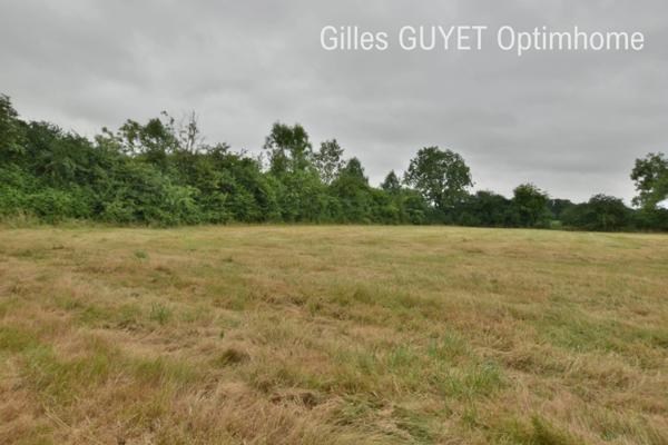 Terrain plat constructible de 5400M² 20MN de BERNAY, 35000€