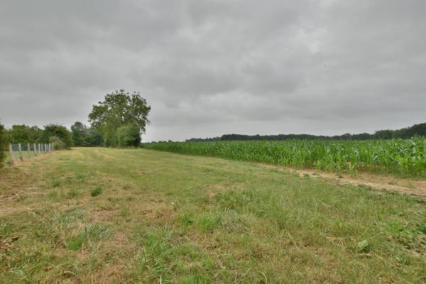 Terrain plat constructible de 5400M² 20MN de BERNAY, 35000€