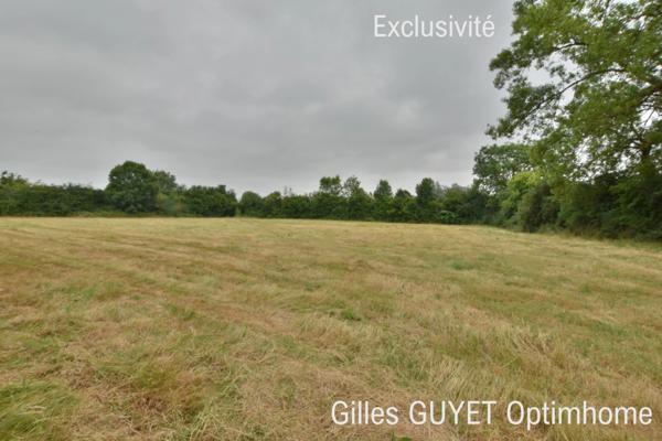 Terrain plat constructible de 5400M² 20MN de BERNAY, 35000€