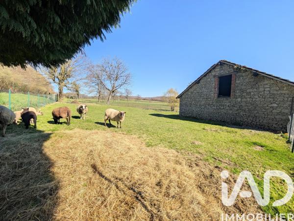 Maison à vendre 10 pièces 253 m² Saint-Dizier-Masbaraud