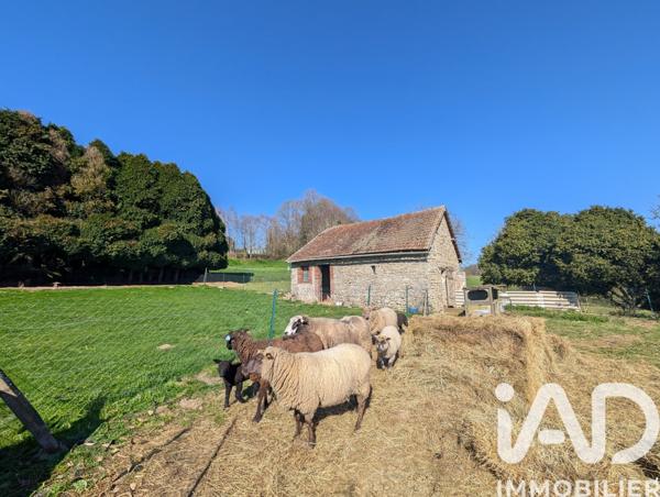 Maison à vendre 10 pièces 253 m² Saint-Dizier-Masbaraud