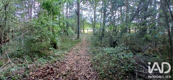 Terrain à vendre 3 306 m² Ouzouer-sous-Bellegarde