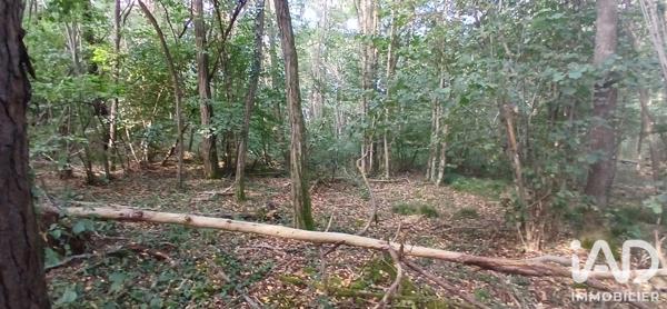 Terrain à vendre 3 306 m² Ouzouer-sous-Bellegarde
