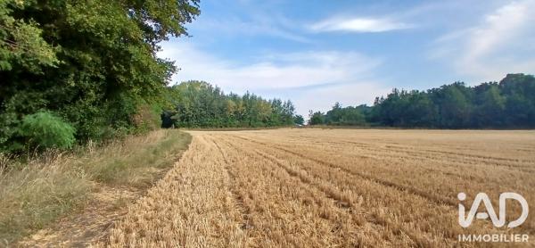 Terrain à vendre 3 306 m² Ouzouer-sous-Bellegarde