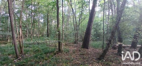 Terrain à vendre 3 306 m² Ouzouer-sous-Bellegarde