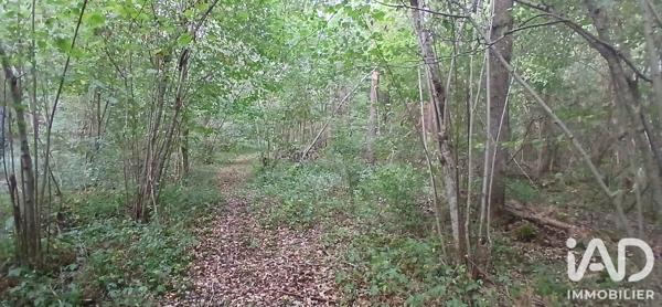 Terrain à vendre 3 306 m² Ouzouer-sous-Bellegarde