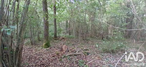 Terrain à vendre 3 306 m² Ouzouer-sous-Bellegarde