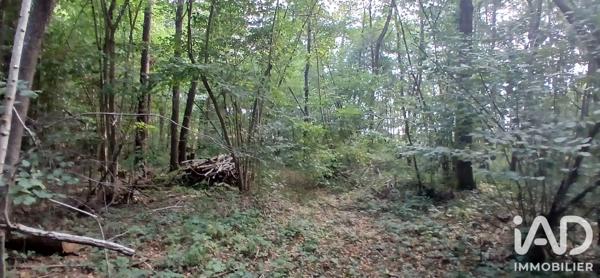 Terrain à vendre 3 306 m² Ouzouer-sous-Bellegarde