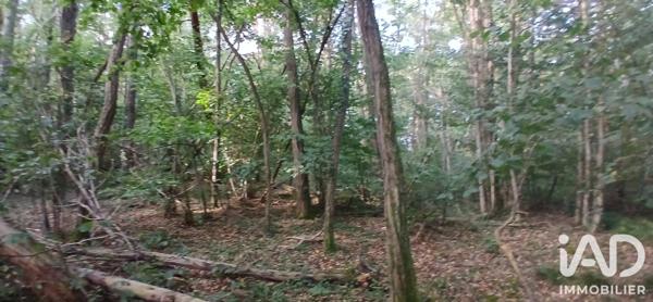 Terrain à vendre 3 306 m² Ouzouer-sous-Bellegarde