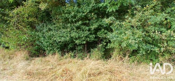 Terrain à vendre 3 306 m² Ouzouer-sous-Bellegarde