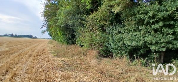 Terrain à vendre 3 306 m² Ouzouer-sous-Bellegarde