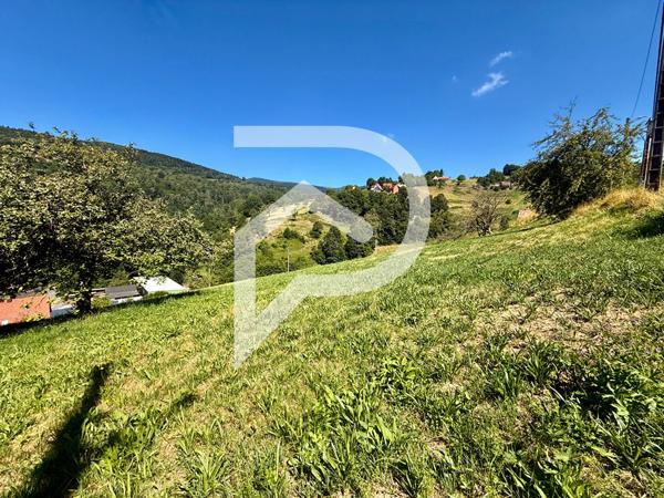 Terrain 592 m2
