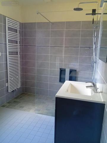 Achat - Maison | Pavillon Cellettes 41120 3 pièces 110 m 2 1283 m 2