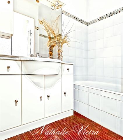 Carnon Plage (34130) VUE MER - APPARTEMENT TRAVERSANT T2 - 2 TERRASSES - BOX