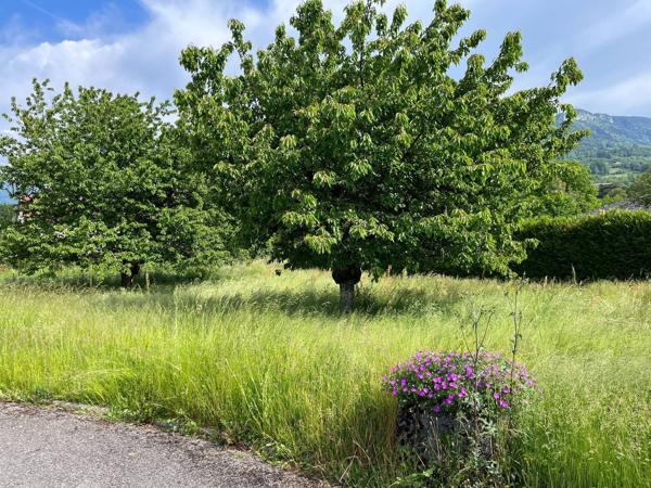 Vente terrain à Saint-Jorioz 74410