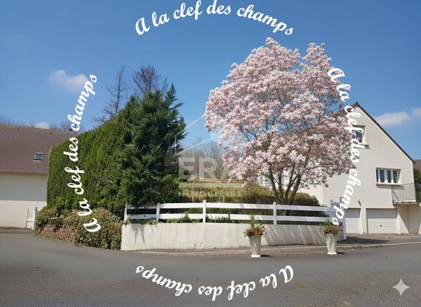 Maison Chatenay Malabry 8 pièce(s) 200 m2