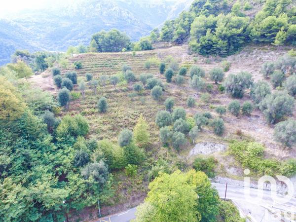 Terrain à vendre 8 030 m² Sainte-Agnès