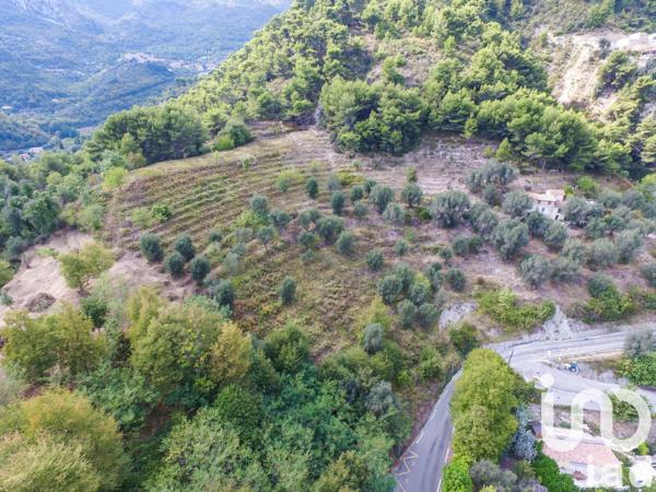 Terrain à vendre 8 030 m² Sainte-Agnès