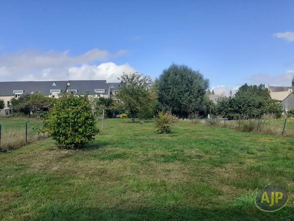 Location maison Saint Armel : 950 € - AJP Immobilier Pacé