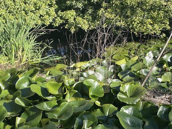 Vente Maison 10 pièces 98 m2 à Albi