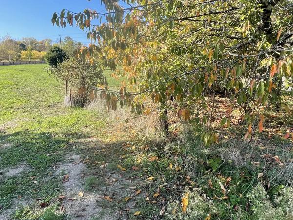 Vente Maison 10 pièces 98 m2 à Albi