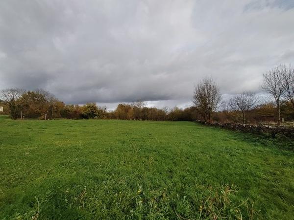 Terrain à vendre |  Montjoie-en-Couserans |  3115 m²