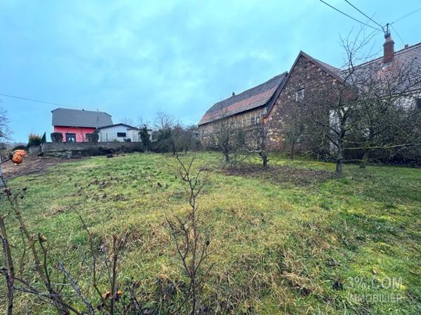 3%COM Terrain de construction 5 ares  Hochfelden (67270)