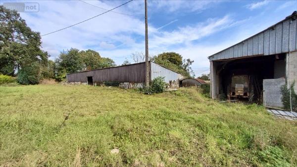 Maison individuelle à vendre à Plounévézel dans le Finistère (29270), ref : 29066-1031797