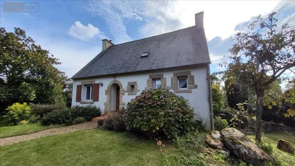 Maison individuelle à vendre à Plounévézel dans le Finistère (29270), ref : 29066-1031797