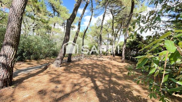 Maison bord de mer avec cadre exceptionnelle
