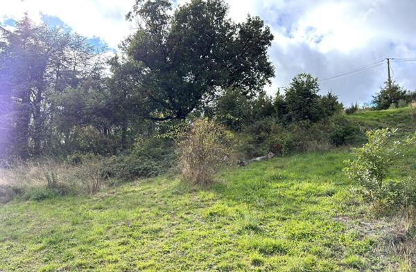 Bourg Argental 42220 parcelle de terrain constructible de 1011m²