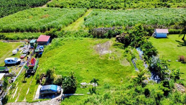 Terrain constructible de 1000 m² (97280 ) Vauclin